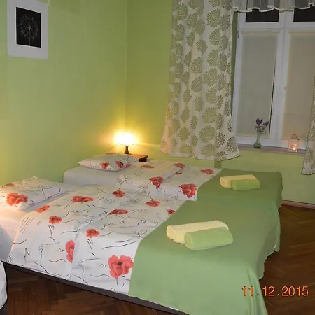 Honey Cracovia